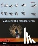 Coster, Bill - Vögel richtig fotografieren