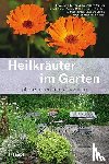 Pfister, Thomas, Uehleke, Bernhard, Saller, Reinhard, Fischer, Astrid - Heilkräuter im Garten