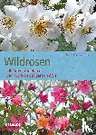 Masure, Patrick - Wildrosen