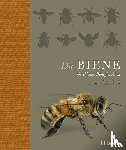  - Die Biene