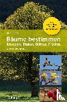 Lüder, Rita - Bäume bestimmen - Knospen, Blüten, Blätter, Früchte