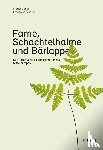 Bendel, Muriel, Alsaker, Françoise - Farne, Schachtelhalme und Bärlappe