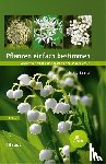 Kammer, Peter M. - Pflanzen einfach bestimmen