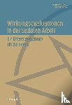 Baumgartner, Edgar, Haunberger, Sigrid - Wirkungsevaluationen in der Sozialen Arbeit