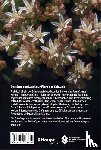 Lauber, Konrad, Wagner, Gerhart, Gygax, Andreas - Flora Helvetica - Illustrierte Flora der Schweiz