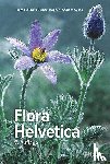 Lauber, Konrad, Wagner, Gerhart, Gygax, Andreas - Flora Helvetica - Illustrierte Flora der Schweiz