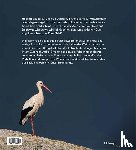 Heer, Lorenz - Der Weißstorch