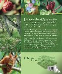 Kranz, Volker, Deemter, Frederik - Praxisbuch Waldgarten