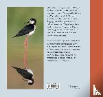 Gejl, Lars - Die Watvögel Europas