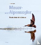 Engeler, Alfred - Mauer- und Alpensegler