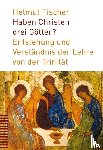 Fischer, Helmut - Haben Christen drei Götter?