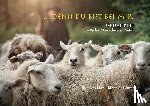 Kurz, Alex - ... denn du bist bei mir