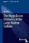 Roger Wolf - The Higgs Boson Discovery at the Large Hadron Collider