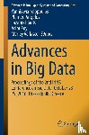 Plamen Angelov, Yannis Manolopoulos, Lazaros Iliadis, Asim Roy - Advances in Big Data