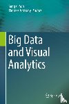  - Big Data and Visual Analytics