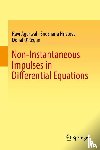 Agarwal, Ravi, Hristova, Snezhana, O'Regan, Donal - Non-Instantaneous Impulses in Differential Equations