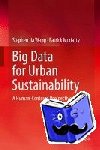 Wang, Stephen Jia, Moriarty, Patrick - Big Data for Urban Sustainability
