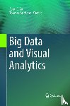  - Big Data and Visual Analytics