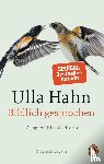 Hahn, Ulla - Bildlich gesprochen