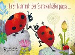  - Erst kommt der Sonnenkäferpapa ...