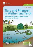Brauer, Nicole - Tiere und Pflanzen in Weiher und Teich