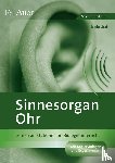 Graf, Erwin - Sinnesorgan Ohr