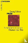 Schön, Georg - Pilze