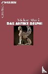 Maaß, Michael - Das antike Delphi