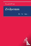 Bechteler, Harald, Raue, Johannes - Zivilprozess für Anfänger