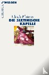 Pfisterer, Ulrich - Die Sixtinische Kapelle