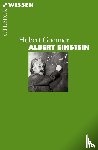 Goenner, Hubert - Albert Einstein