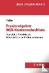 Pöller, Ralf - Praxisratgeber HGB-Konzernabschluss