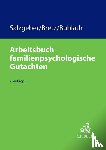 Salzgeber, Joseph, Bretz, Elke, Bublath, Katharina - Arbeitsbuch familienpsychologische Gutachten