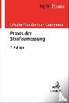 Schäfer, Gerhard, Sander, Günther M., Gemmeren, Gerhard van, Ceffinato, Tobias - Praxis der Strafzumessung