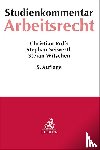 Rolfs, Christian, Seiwerth, Stephan, Witschen, Stefan - Arbeitsrecht