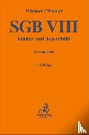  - SGB VIII