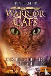 Hunter, Erin - Warrior Cats Staffel 5/04 - Der Ursprung der Clans. Der Leuchtende Stern