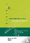 Bender, Michél, Goris, Alfons, Voigt, Jana - Stahlbetonbau-Praxis: Band 3