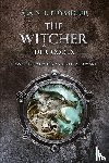 Puysségur, Alain T. - The Witcher. Der Codex