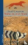 Grossman, David - Wohin du mich führst