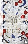 Valentine, Jenny - Zwei Seiten eines Augenblicks