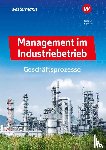 Boix, Laura, Nolden, Rolf-Günther - Management im Industriebetrieb. Geschäftsprozesse Schulbuch