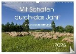 Kelle-Dingel, CoKeDi-Photographie - Mit Schafen durch das Jahr (Wandkalender 2025 DIN A3 quer), CALVENDO Monatskalender