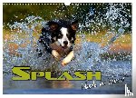 Bleicher, Renate - SPLASH - Hunde im Wasser (Wandkalender 2025 DIN A3 quer), CALVENDO Monatskalender