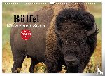 Stanzer, Elisabeth - Büffel. Wisent und Bison (Wandkalender 2025 DIN A3 quer), CALVENDO Monatskalender