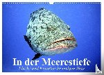 Stanzer, Elisabeth - In der Meerestiefe. Fische und Korallen im ewigen Blau (Wandkalender 2025 DIN A3 quer), CALVENDO Monatskalender