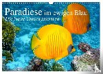 Stanzer, Elisabeth - Paradiese im ewigen Blau. Die bunte Unterwasserwelt (Wandkalender 2025 DIN A3 quer), CALVENDO Monatskalender