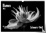 Wurster, Beate - Blumen 2025, Schwarz-Weiß (Wandkalender 2025 DIN A3 quer), CALVENDO Monatskalender