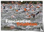 Will, Hans - Fascination Triathlon (Wandkalender 2025 DIN A3 quer), CALVENDO Monatskalender