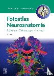 Deller, Thomas, Sebestény, Tamás, Eichler, Katrin, Tritt, Stephanie - Fotoatlas Neuroanatomie